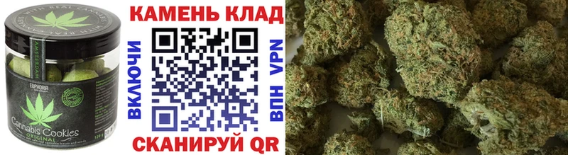 магазин продажи наркотиков  Черноголовка  Cannafood конопля 