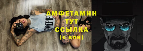 стаф Елизово