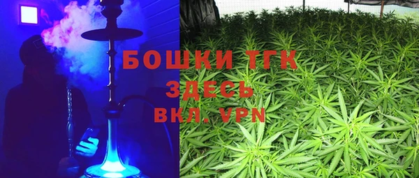 ГАЛЛЮЦИНОГЕННЫЕ ГРИБЫ Алзамай