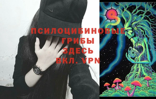 ГАЛЛЮЦИНОГЕННЫЕ ГРИБЫ Алзамай